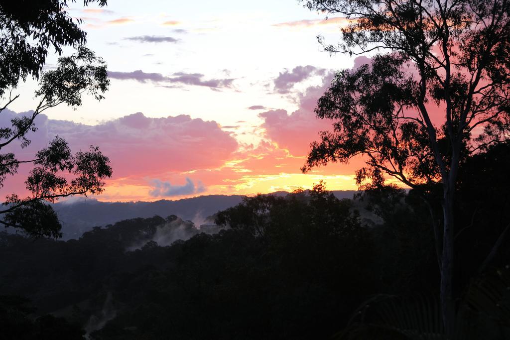 Phoenix Eumundi Exteriör bild